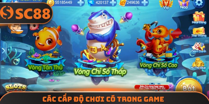 Các cấp độ chơi có trong game